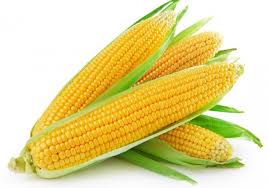 sweet corn, healthy eating, health and fitness