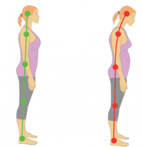 posture, health and fitness, pilates, fat to fit