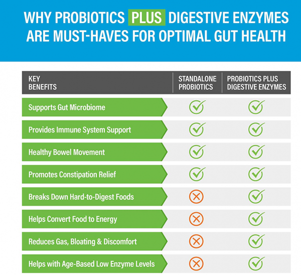 probioitcs, prebiotics, healthy gut health, digestive enzyme